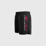Hellstar Vertical Atheltic Shorts Black